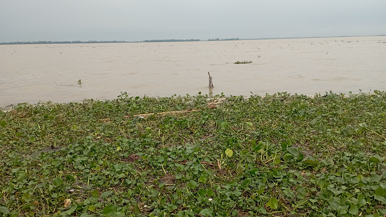 বেড়েই চলেছে যমুনার পানি